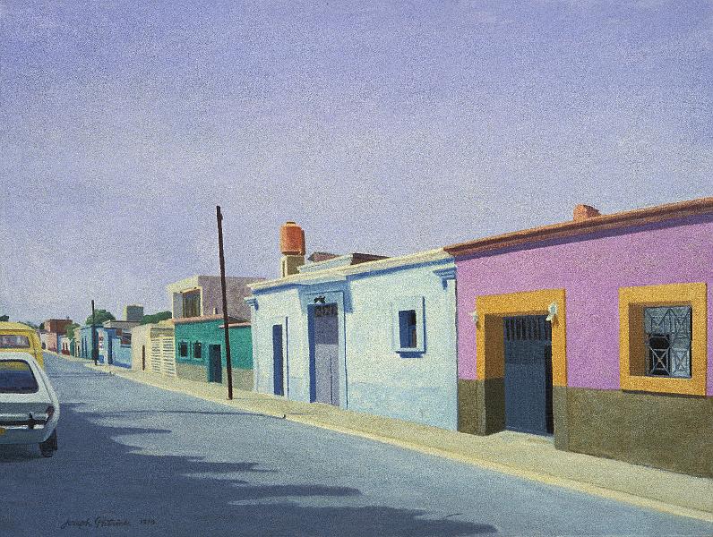 Calle Insurgentes  79  30x4.jpg